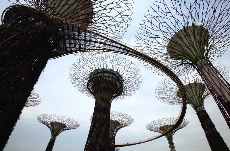 Journalists walk on the Supertree Aerial Walkway that links the giant concrete supertrees at Gardens by the Bay in Singapore